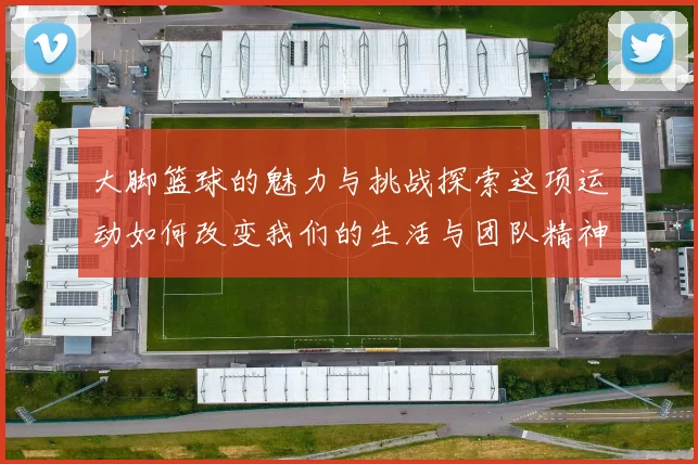 大脚篮球的魅力与挑战探索这项运动如何改变我们的生活与团队精神