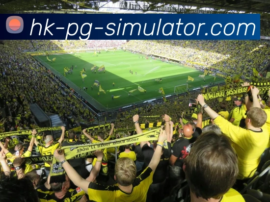 多媒体互动体验